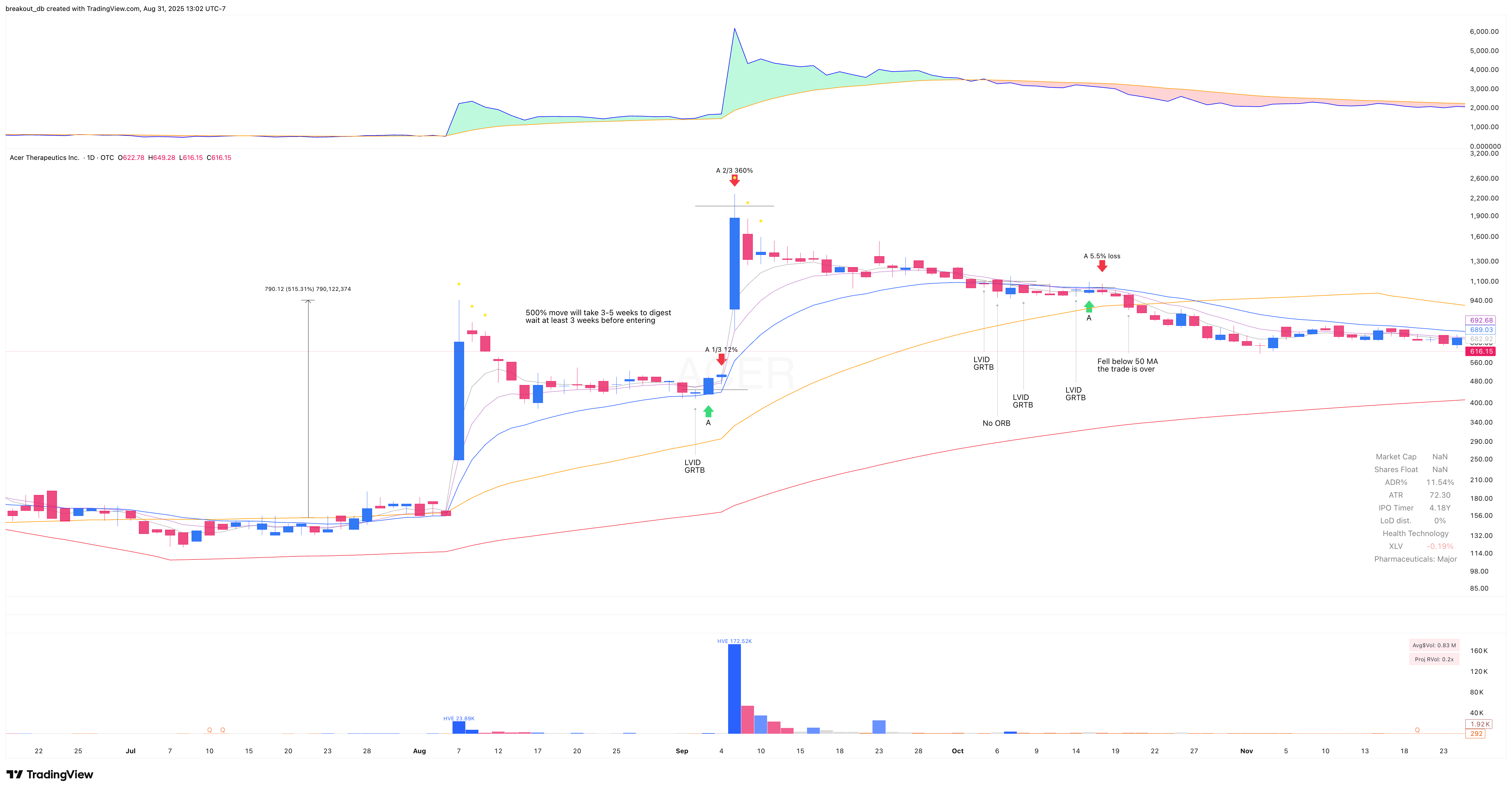 ACER - High Tight Flag - 2009-09-09 after breakout