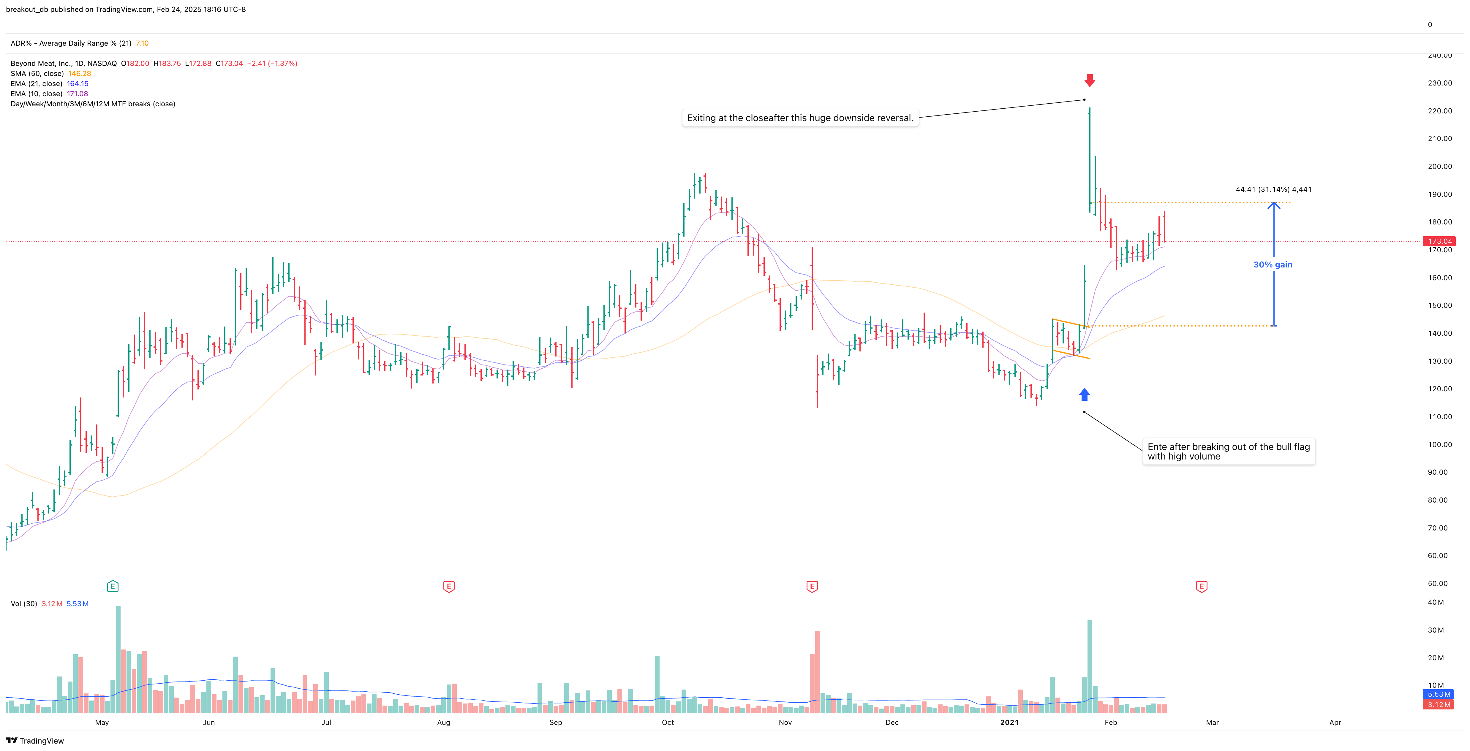 BYND - High Tight Flag - 2021-01-25 after breakout