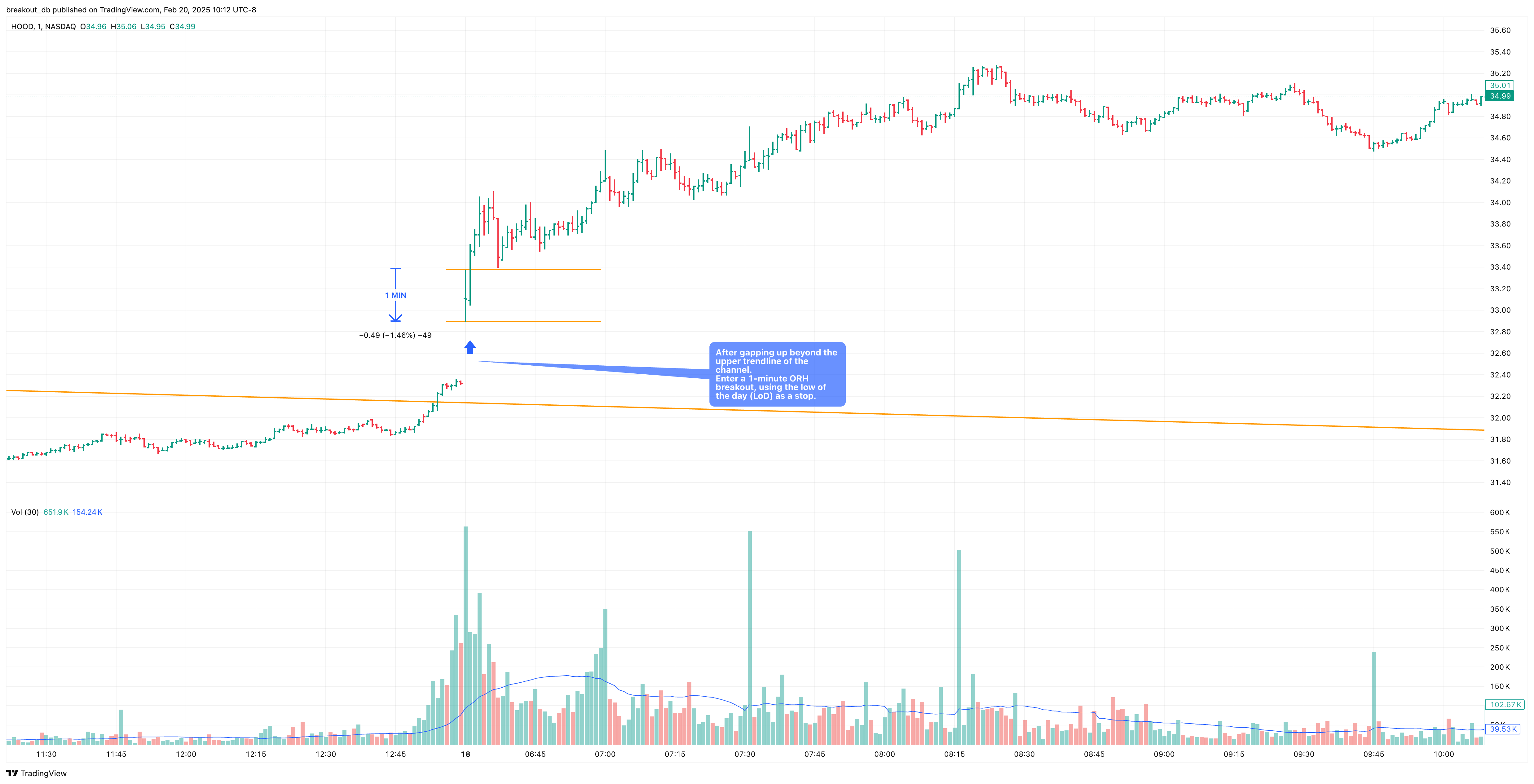 HOOD - High Tight Flag - 2024-11-16 intraday entry