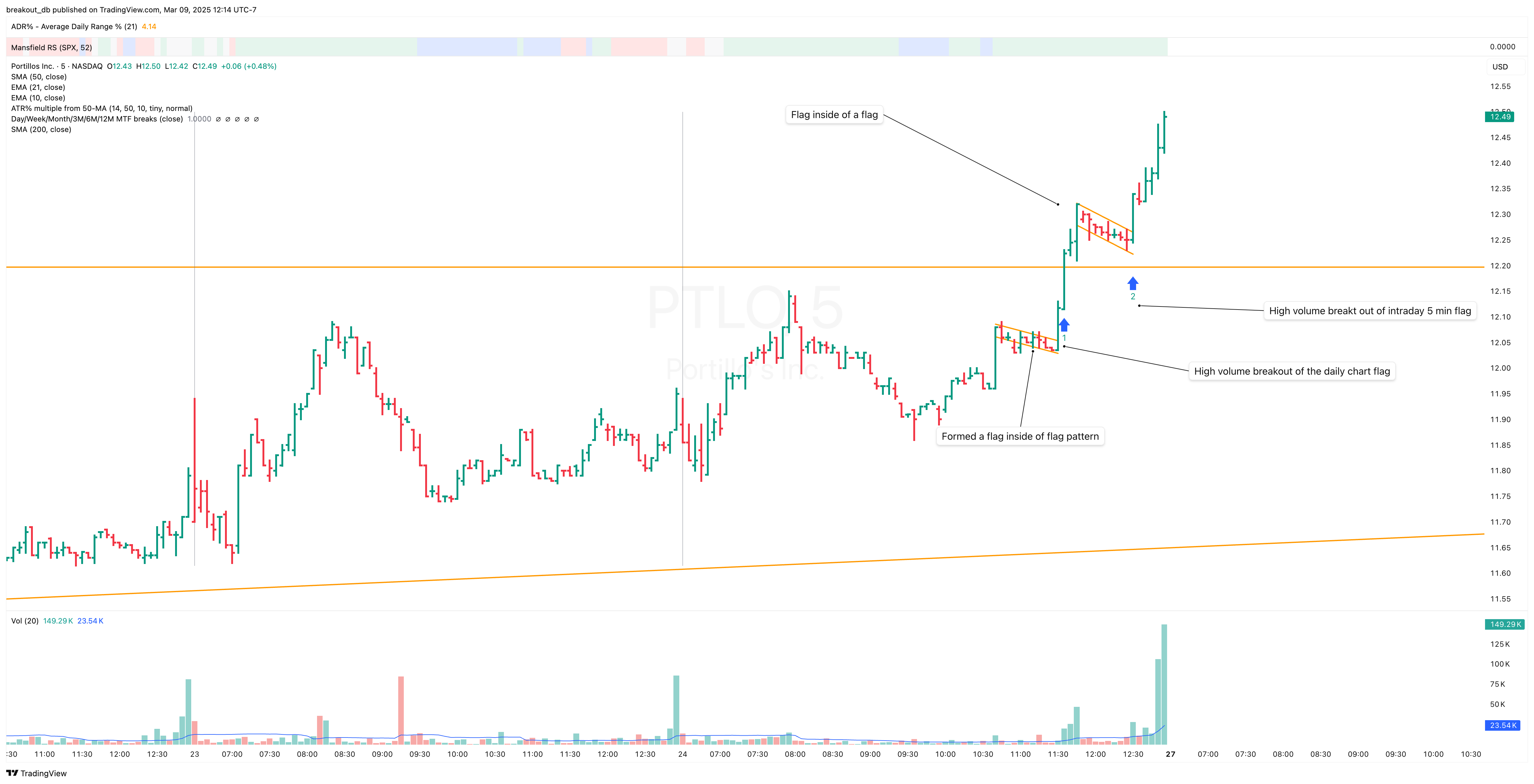 PTLO - High Tight Flag - 2025-01-24 intraday entry