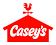 CASY logo